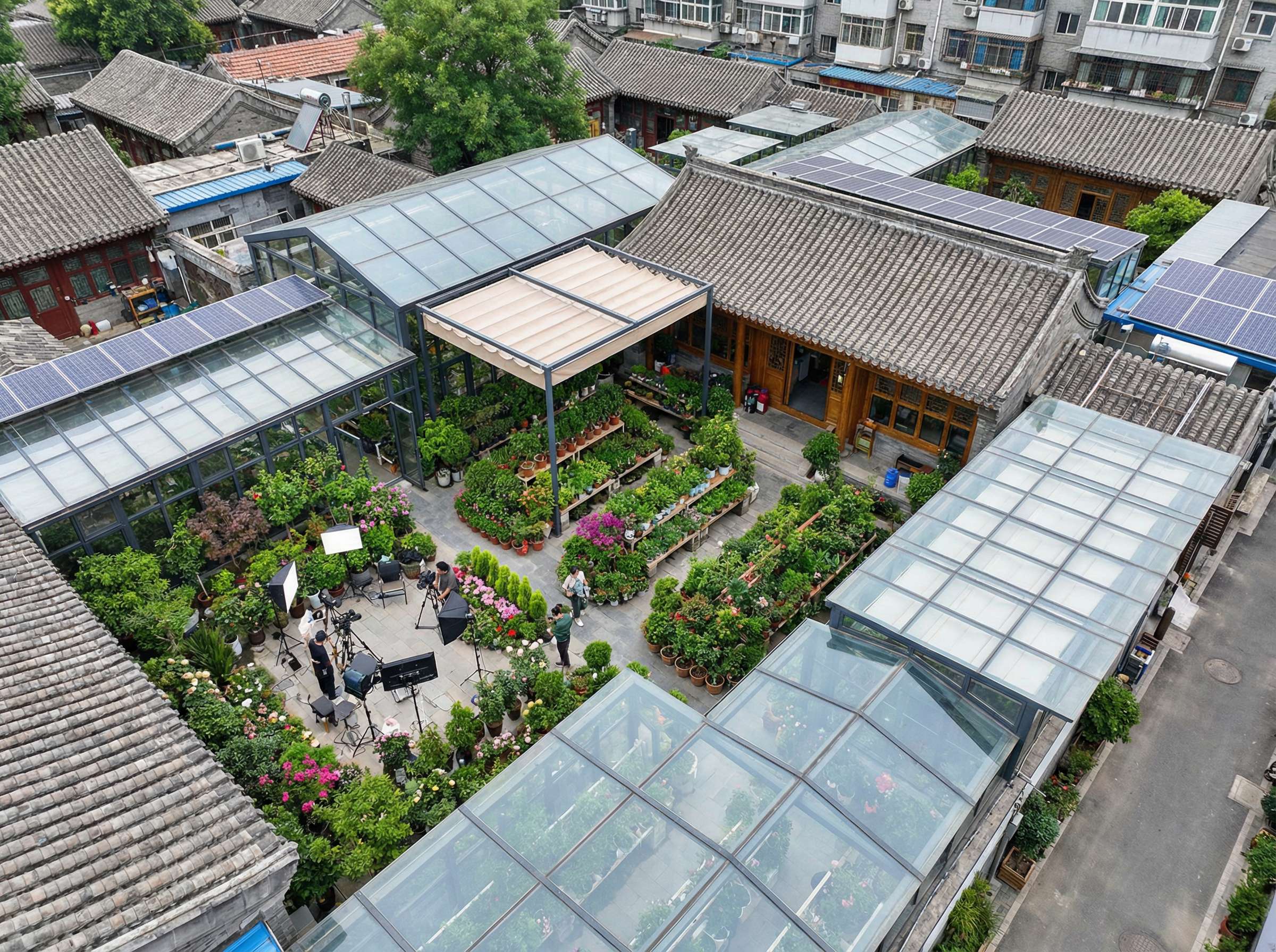 麻豆传媒植物视频演示